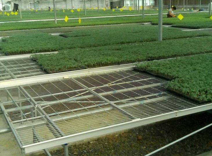 <a href='http://m.nano-medtech.cn/miaochuangsheshi/199.html'target='_blank'><a href='http://m.nano-medtech.cn/miaochuangsheshi/199.html'target='_blank'><a href='http://m.nano-medtech.cn/miaochuangsheshi/199.html'target='_blank'>育苗床</a></a></a>.jpg